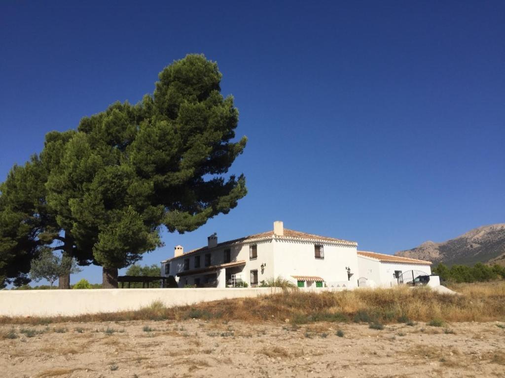 B&B Cortijo El Ciruelo Chirivel エクステリア 写真