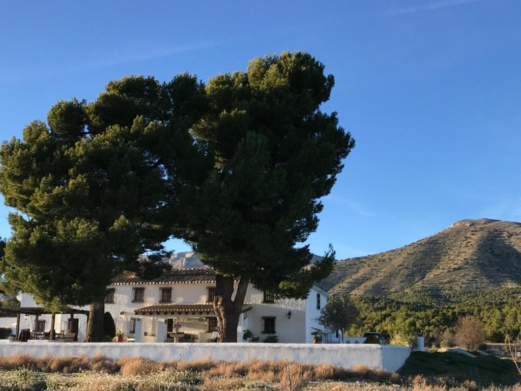 B&B Cortijo El Ciruelo Chirivel エクステリア 写真