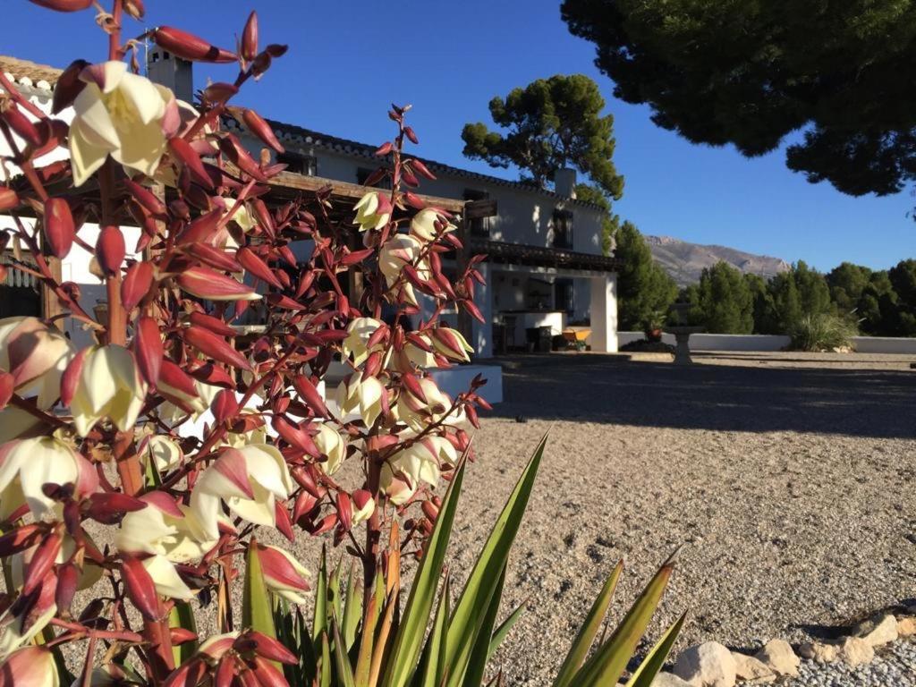 B&B Cortijo El Ciruelo Chirivel エクステリア 写真